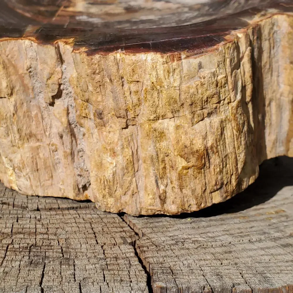 13lbs+ Red Brown XL Petrified Wood Fossilized Bowl 6210 grams